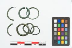 Foto von Bronzering (NHMW-PRAE-026067)